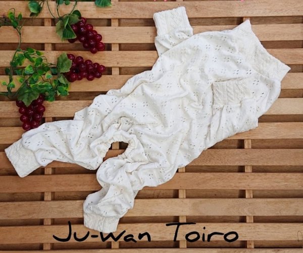 画像1: ラグジュアリーなオールインワン・袖口フリルにひとめぼれ！