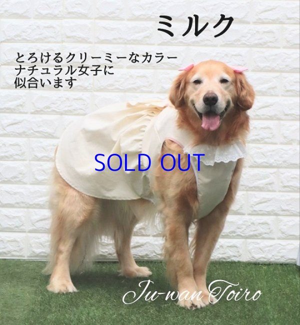 画像3: サラサラの着心地・ピンタックとフリルのナチュラルわんぴーす