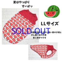 LLサイズ   すいかッ（完成品）