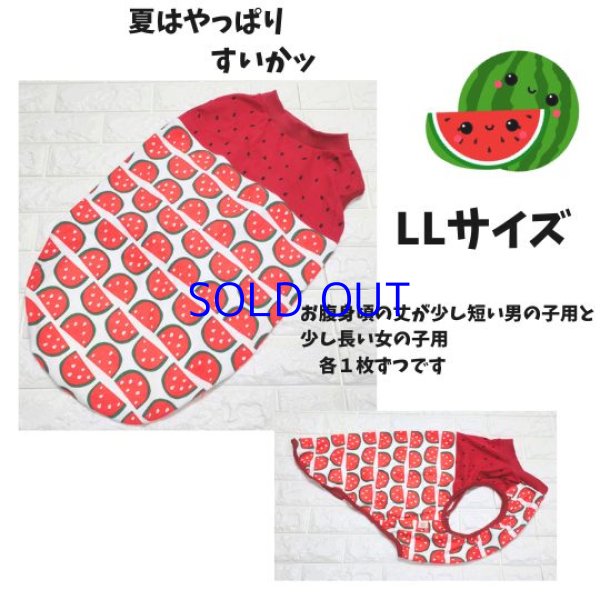 画像1: LLサイズ   すいかッ（完成品）