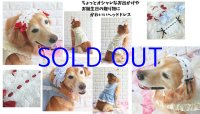 ふりふりレースたっぷりのヘッドドレス