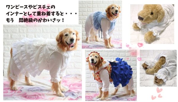 画像3: ラグジュアリーなオールインワン・袖口フリルにひとめぼれ！