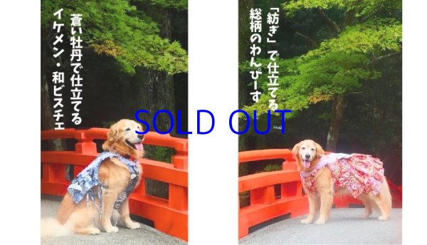 画像3: 〜和のお祝いに〜うちの子との特別なひと時を彩る「お着物ドレス」