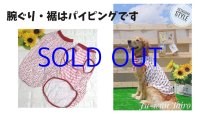 熱を拡散冷却！　機能性クール　ミントグリーンのCoolペンギン（会員様半額）