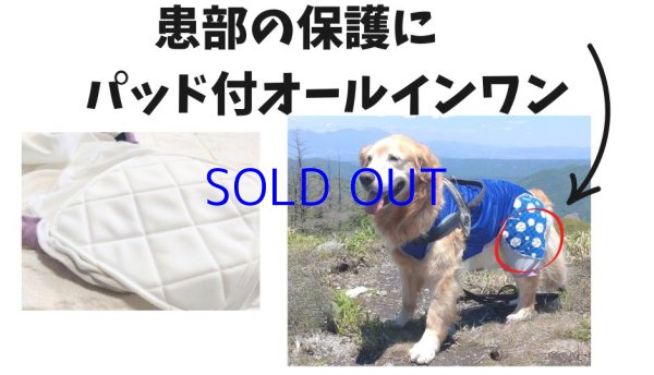 画像1: 患部を守るガードパッド付きオールインワン＆長袖トレーナー