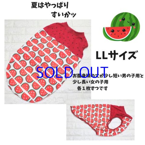 画像1: LLサイズ   すいかッ（完成品） (1)