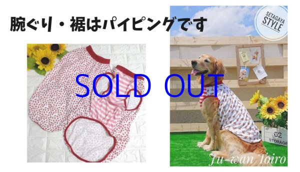 画像1: 熱を拡散冷却！　機能性クール　ミントグリーンのCoolペンギン（会員様半額） (1)